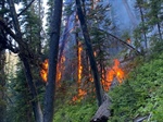 Firefighter Dies Battling MT Wildfire