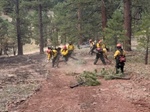 FF Dies After Cardiac Emergency in the Line of Duty at Grand Canyon