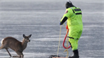 Stevens County Firefighters rescue stranded deer from frozen lake