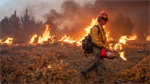 Wildland firefighters could get hazard pay for working on prescribed fires