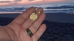 Diver finds North Carolina firefighter’s lost gold necklace at South Carolina beach