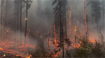 WA Lands Commissioner says restored wildfire budget puts state in better shape for fire season