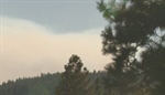 Lands Council hosts “Learn and Burn” event to promote forest health in Stevens County