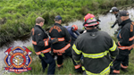 Firefighters work together to rescue stuck horse from creek in Roy