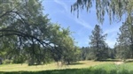 Spokane County receives FEMA grant for wildfire prevention projects