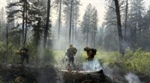 Vegetation fire quickly contained in Cusick