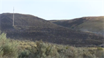 Sage Trail Fire in Yakima County blackens 20-30 acres