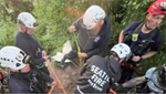 Seattle firefighters rescue two boys stuck in steep ravine