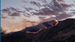 Firefighters battle wildland blaze in Whitman County