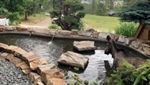 ‘There’s a what in the pond?’: Spokane Valley firefighters rescue stranded moose from backyard pond