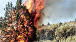 Juniper Dunes fire grows to 10,000+ acres. Fire burning into wilderness area