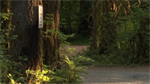 King County Search and Rescue crews got to victim of bear attack in 12 minutes