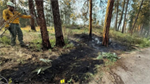Spokane Valley firefighters investigate 9 ‘suspicious’ fires at Mirabeau Park