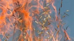 Lambdin Fire grows to 13,300 acres, “Go Now” evacuations in effect in Walla Walla