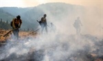 State mobilizes firefighting resources for growing Plum Point Fire in Lincoln County