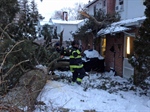 Large Tree Crashes Into Fairfield (CT) Fire Station