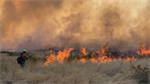 Four separate fires, including Lyons Ferry and Neff Jones Fires, burning between Whitman, Franklin, and Adams counties