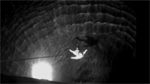 Coast Guard rescues woman from Puget Sound waters 2 miles off Edmonds Pier