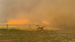 Ferry County animal sanctuary devastated by Modrite Fire, residents grateful for survival