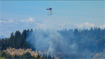 Brush fire on cliff bank in Gig Harbor contained after crews respond