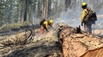 Little Giant fire destroys 26 structures, including 2 homes