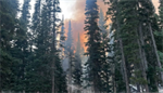 Ptarmigan Fire in Okanogan County burns over 20,000 acres