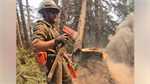 Firefighter injured by falling tree limb on  Little Giant Fire front lines