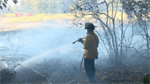 11 fires since June near Renton’s Shadow Hawk and Royal Hills apartments, officials say