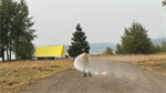 Containment efforts on Border 2 Fire see significant progress