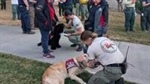 Therapy dogs lift spirits at Walla Walla area fire camps