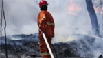 IAFF warns firefighters against glutathione treatments for wildfire smoke and PFAS exposure