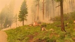 Wildfire in Okanogan-Wenatchee National Forest is now top priority in the nation