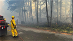 DNR sets up aviation support in Jefferson County; part of Dosewallips State Park closed