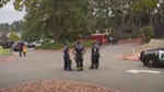 Rescuers revive drowning victim at Angle Lake Park after 17 minutes underwater