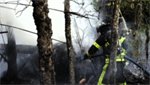 VIDEO: Deputies identify 2 people killed in fiery plane crash in Florida