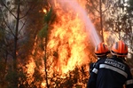 EU Plans New Firefighting Fleet After Deadly Summer Heat Wave