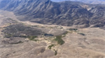 Wildfires strip sagebrush habitat, raising stakes for Nevada wildlife and industry