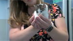 Tri-Cities Animal Services teaming up with firefighters to host adoption event
