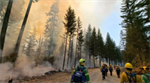 New bill looks to expand line-of-duty death benefits for wildland firefighter families