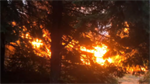 Fire destroys home in Skamania County