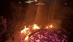 Pallet fire sparks concern over illegal burning near Blyn