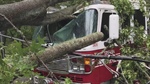 Tree Falls on Seguin Fire Truck While Responding to Rescue