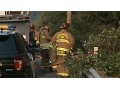 Driver Killed In Cal Fire Water Tender Crash