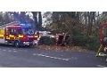 Two United Kingdom Firefighters Taken to Hospital After Vehicle Collided with Tree