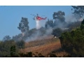 Report: “One Fire Truck Guarded Every Three Houses” in Wealthy Los Angeles Neighborhood Last Night