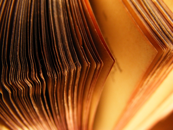 IFSAC Accreditation Process - Yes or No?